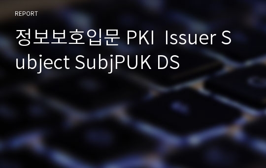 정보보호입문 PKI  Issuer Subject SubjPUK DS