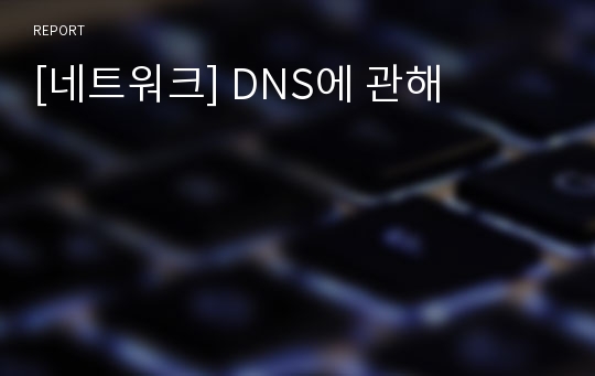 [네트워크] DNS에 관해