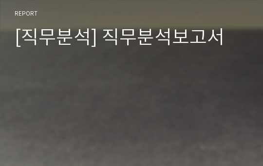 [직무분석] 직무분석보고서