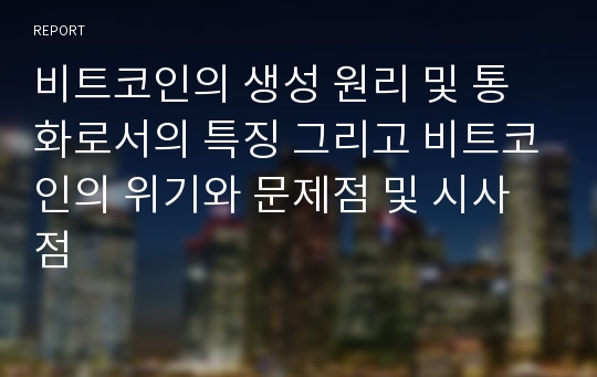 비트코인의 생성 원리 및 통화로서의 특징 그리고 비트코인의 위기와 문제점 및 시사점