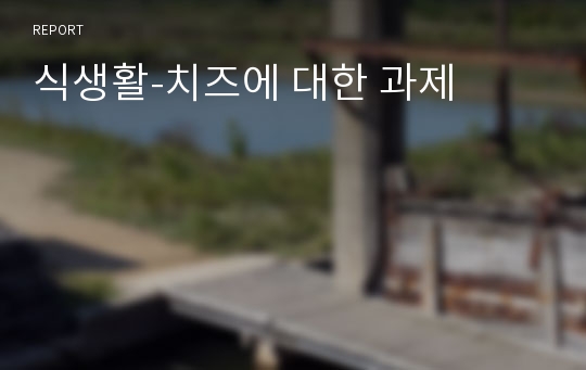 식생활-치즈에 대한 과제