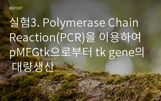 실험3. Polymerase Chain Reaction(PCR)을 이용하여 pMFGtk으로부터 tk gene의 대량생산