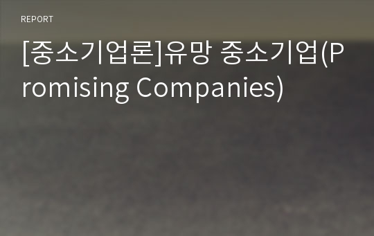 [중소기업론]유망 중소기업(Promising Companies)