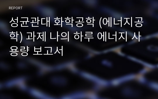 성균관대 화학공학 (에너지공학) 과제 나의 하루 에너지 사용량 보고서