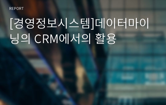 [경영정보시스템]데이터마이닝의 CRM에서의 활용
