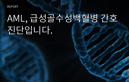 AML, 급성골수성백혈병 간호진단입니다.