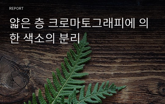 얇은 층 크로마토그래피에 의한 색소의 분리