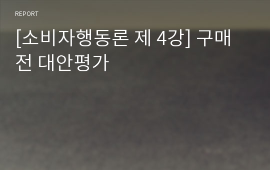 [소비자행동론 제 4강] 구매 전 대안평가