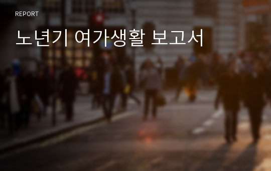 노년기 여가생활 보고서