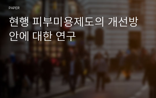 현행 피부미용제도의 개선방안에 대한 연구