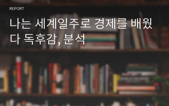 나는 세계일주로 경제를 배웠다 독후감, 분석