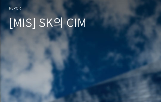 [MIS] SK의 CIM