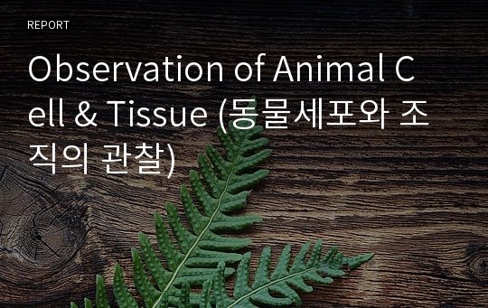 Observation of Animal Cell &amp; Tissue (동물세포와 조직의 관찰)