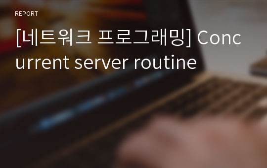 [네트워크 프로그래밍] Concurrent server routine