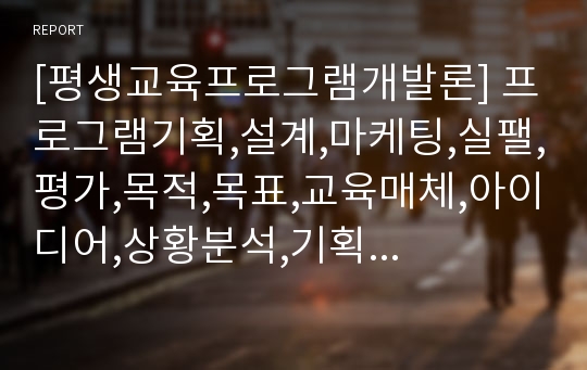 [평생교육프로그램개발론] 프로그램기획,설계,마케팅,실팰,평가,목적,목표,교육매체,아이디어,상황분석,기획의원리,거미식,개미식,워크숍,상황분석,고객분석,맵핑,사회체계분석,사회계층화