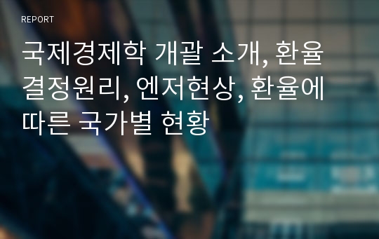 국제경제학 개괄 소개, 환율결정원리, 엔저현상, 환율에 따른 국가별 현황