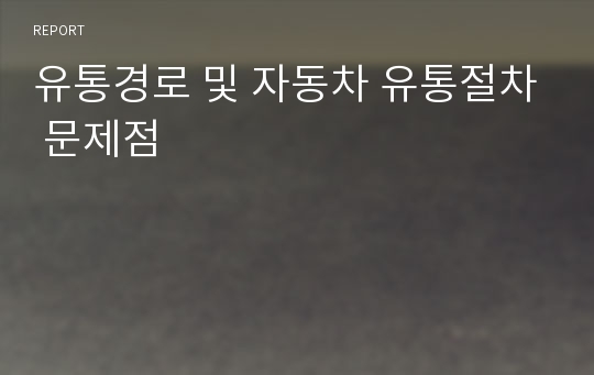 유통경로 및 자동차 유통절차 문제점