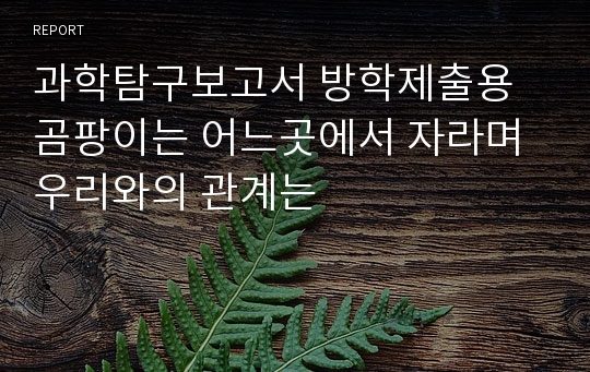 과학탐구보고서 방학제출용 곰팡이는 어느곳에서 자라며 우리와의 관계는