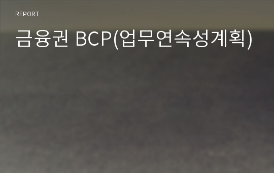 금융권 BCP(업무연속성계획)