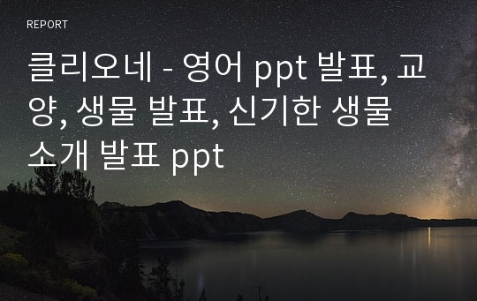 클리오네 - 영어 ppt 발표, 교양, 생물 발표, 신기한 생물 소개 발표 ppt