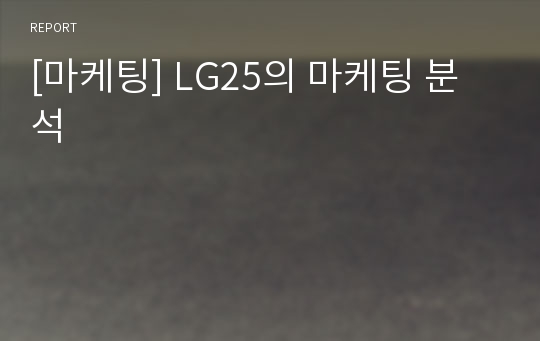 [마케팅] LG25의 마케팅 분석