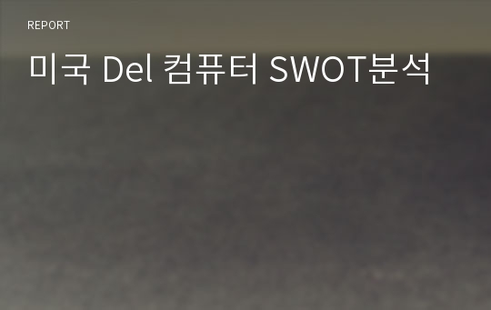 미국 Del 컴퓨터 SWOT분석