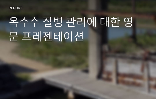 옥수수 질병 관리에 대한 영문 프레젠테이션