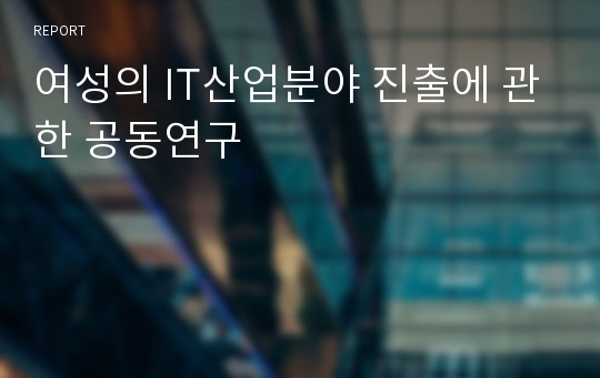 여성의 IT산업분야 진출에 관한 공동연구