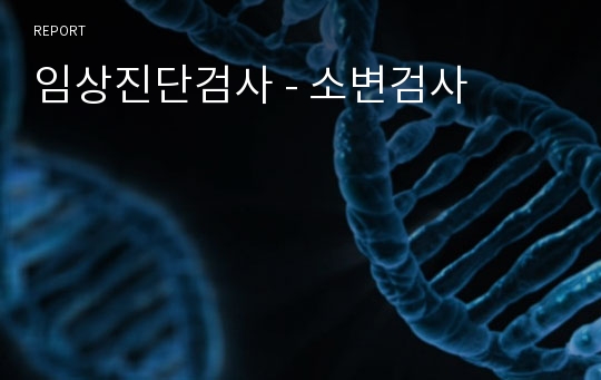 임상진단검사 - 소변검사