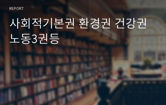 사회적기본권 환경권 건강권 노동3권등