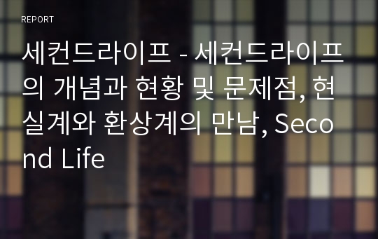 세컨드라이프 - 세컨드라이프의 개념과 현황 및 문제점, 현실계와 환상계의 만남, Second Life