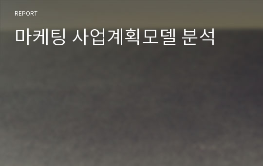 마케팅 사업계획모델 분석