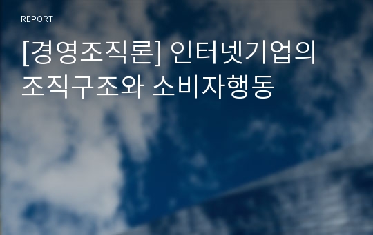 [경영조직론] 인터넷기업의 조직구조와 소비자행동