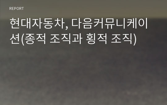 현대자동차, 다음커뮤니케이션(종적 조직과 횡적 조직)