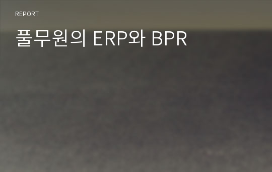 풀무원의 ERP와 BPR