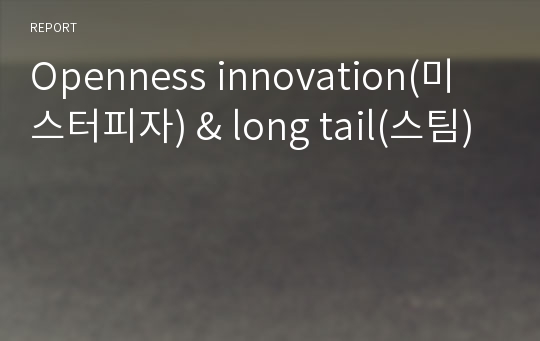 Openness innovation(미스터피자) &amp; long tail(스팀)