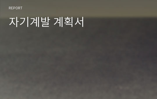 자기계발 계획서 레포트