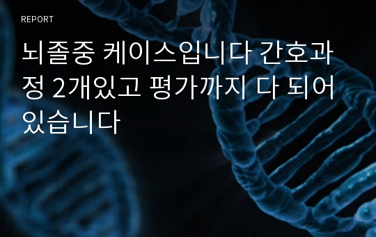 뇌졸중 케이스입니다 간호과정 2개있고 평가까지 다 되어있습니다