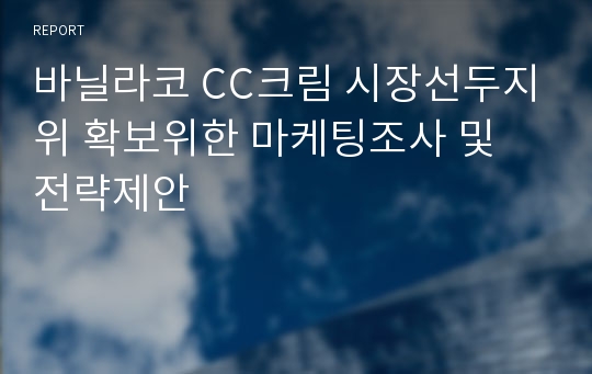 바닐라코 CC크림 시장선두지위 확보위한 마케팅조사 및 전략제안