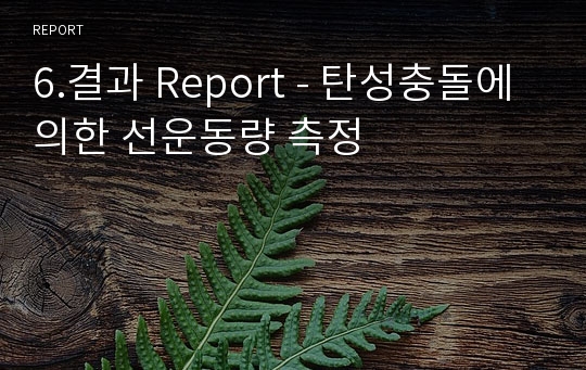 6.결과 Report - 탄성충돌에 의한 선운동량 측정