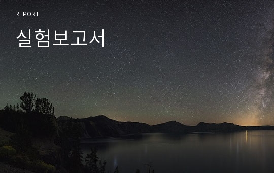 실험보고서