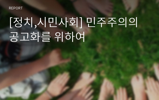 [정치,시민사회] 민주주의의 공고화를 위하여