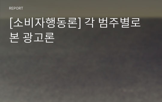 [소비자행동론] 각 범주별로본 광고론