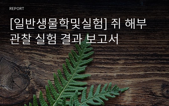 [일반생물학및실험] 쥐 해부 관찰 실험 결과 보고서