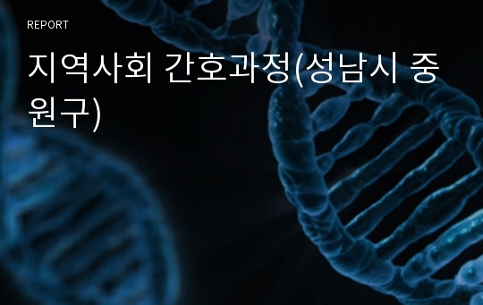 지역사회 간호과정(성남시 중원구)