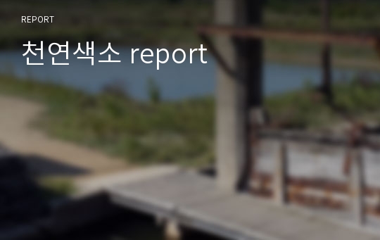 천연색소 report