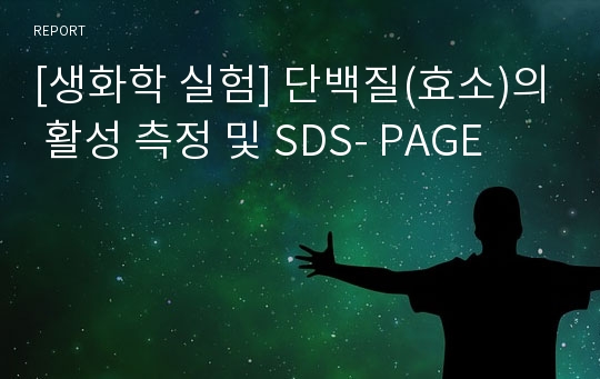 [생화학 실험] 단백질(효소)의 활성 측정 및 SDS- PAGE