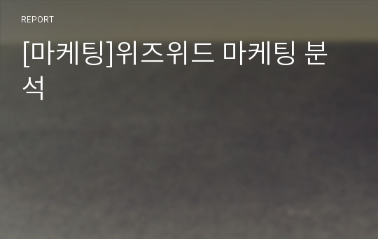 [마케팅]위즈위드 마케팅 분석