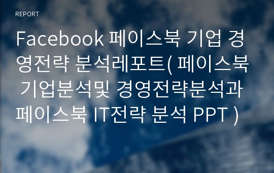 페이스북 경영전략 PPT