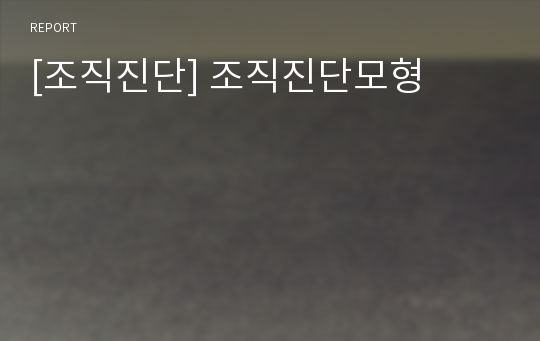 [조직진단] 조직진단모형